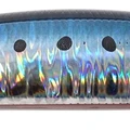 Genkai Sardine