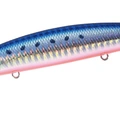 Mazume Sardine