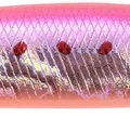 Pink Sardine