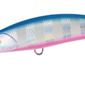 Sagoshi Blue Pink Zebra
