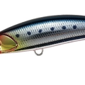 Genkai Sardine