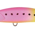 Sagoshi Sardine