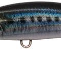 Real Sardine