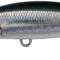 Clear Anchovy