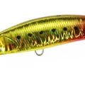 Burning Gold Sardine