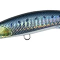 Sardine