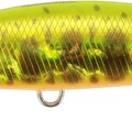 Golden Yamame OB