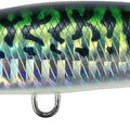 Mackerel HD