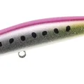 UVLGPink SardineGB