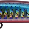 Red Mullet