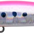 Tropical Sardine Glow