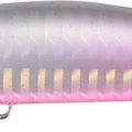 Peachy Glow