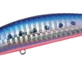 Mazume Sardine