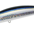 Blackear Sardine