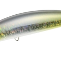 UV Sparkle Sillago Glow