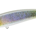 UV Sparkle Sillago Glow