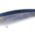 UV Blackear Sardine