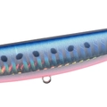 Mazume Sardine