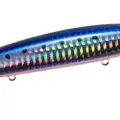 Mazume Sardine