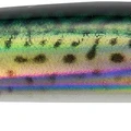 Real Mackerel