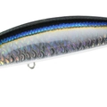 Blackear Sardine