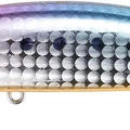Sakura Sardine OB