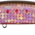 Zombi Sardine