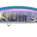 Secret Sardine