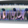 Space Back Sardine