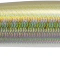 Real Smelt