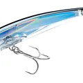 Sardine