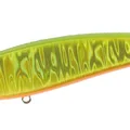 Hirame Gold