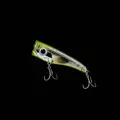 Wasabi