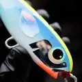 Fuse