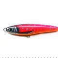 Coral Trout