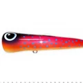 Coral Trout