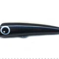 Carbon