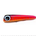 Coral Trout