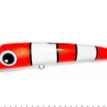 Nemo