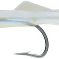 TS