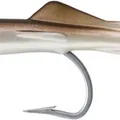 AYU