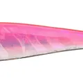 PM