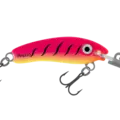 R1 Pink Fluoro