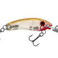 R33 Jelly Prawn
