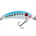 H50 Pilchard