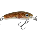 H59 Brown Trout