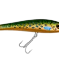 R14 Trout Envy