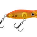 R41 Koi