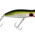 H71 Yellowfin