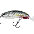 R25 Mullet